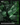 Advertisement for 10th Planet Bannbury Jiu Jitsu with two martial artists in a pose, featuring green text and graphics.